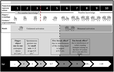 A Developmental Embodied Choice Perspective Explains the Development of Numerical Choices